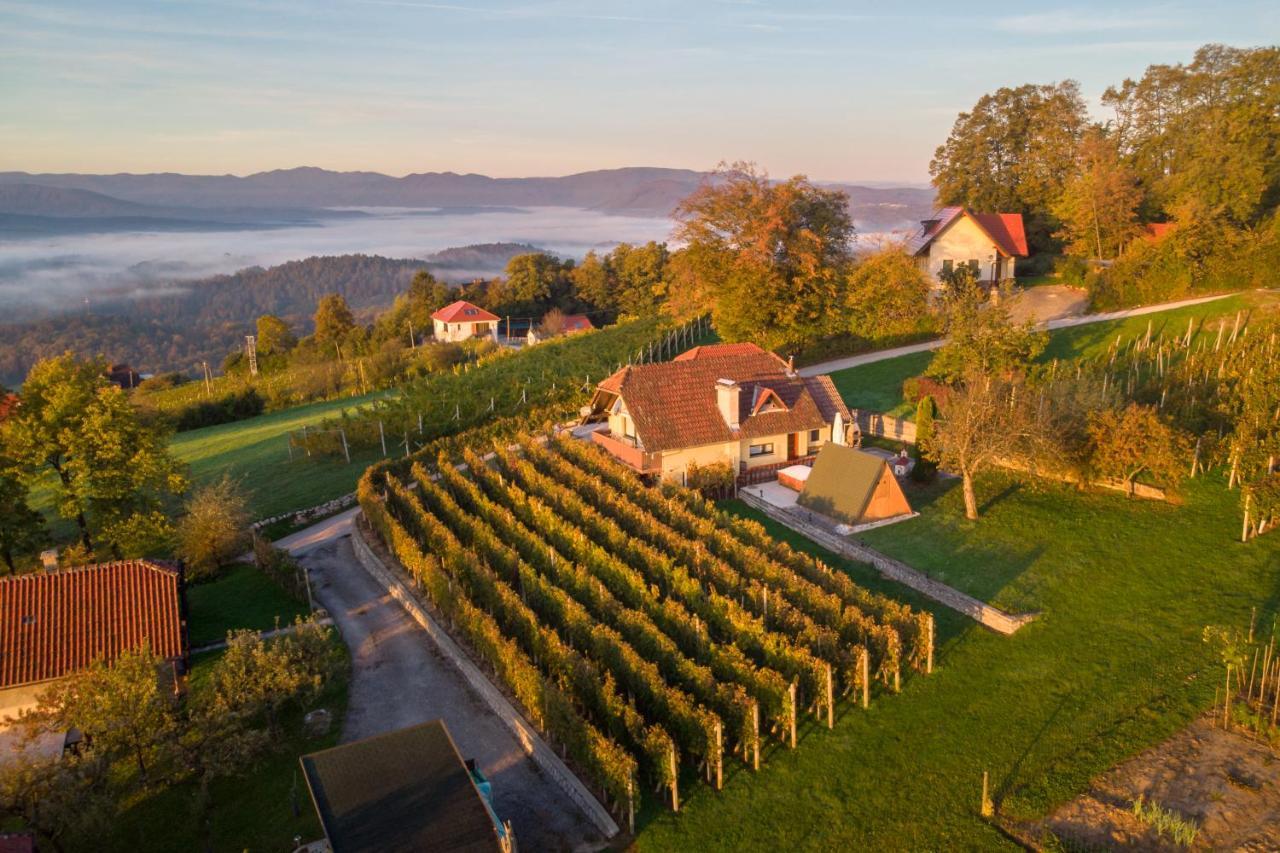 Vineyard Cottage Hocevar Ново Место Екстериор снимка