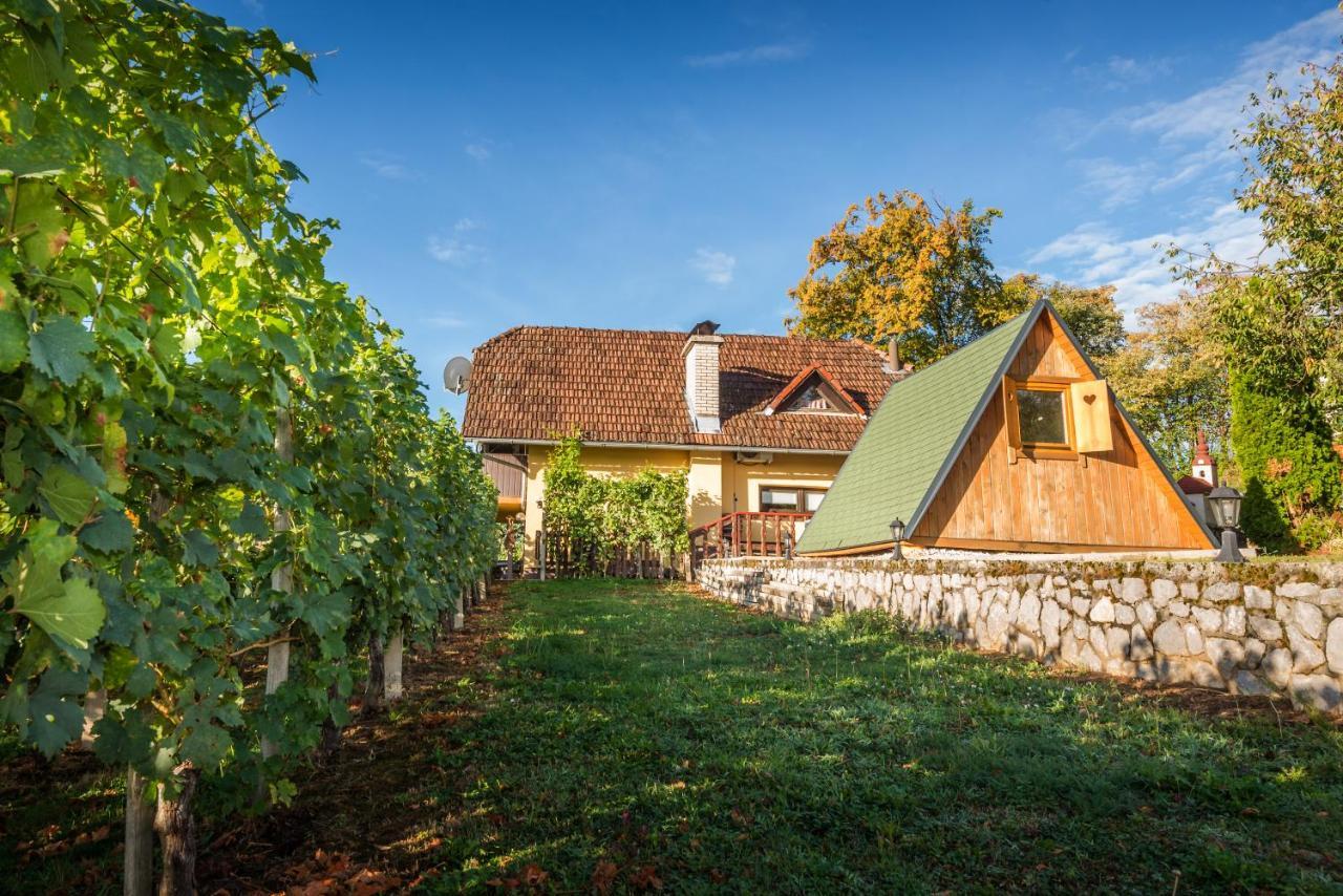 Vineyard Cottage Hocevar Ново Место Екстериор снимка