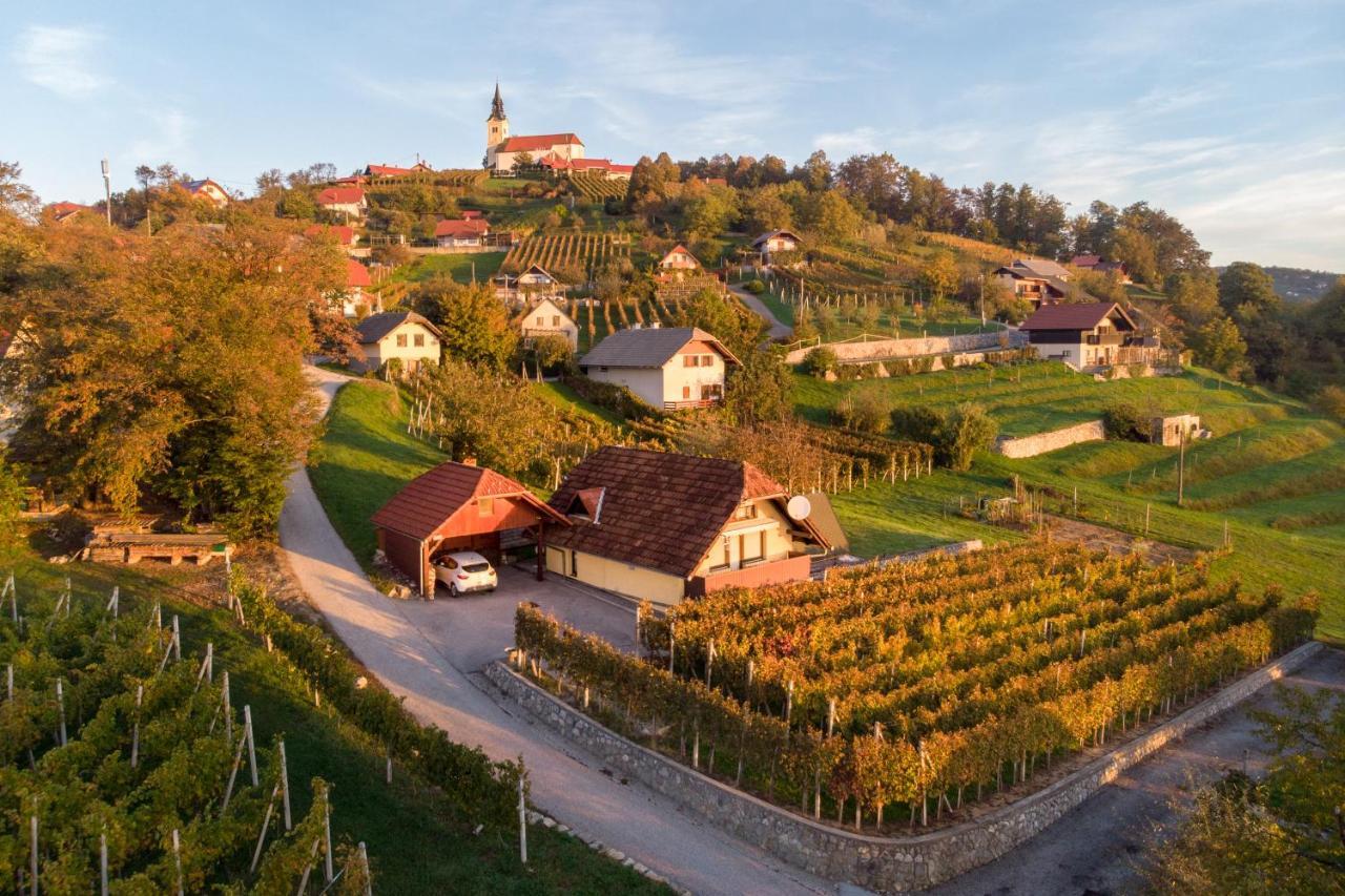 Vineyard Cottage Hocevar Ново Место Екстериор снимка