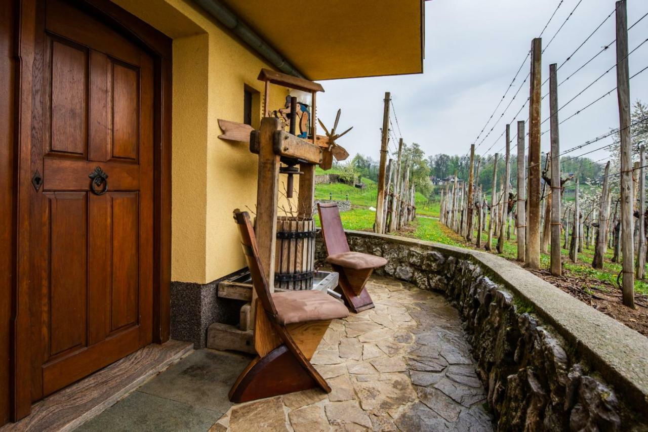 Vineyard Cottage Hocevar Ново Место Екстериор снимка